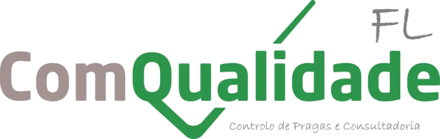 E-Learning ComQualidade FL